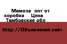 Мимоза, опт от 1 коробки! › Цена ­ 3 900 - Тамбовская обл.  »    